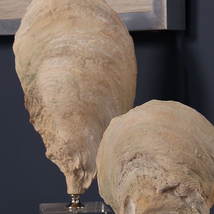 Uttermost Oyster Shell Sculptures, (Set of 2)